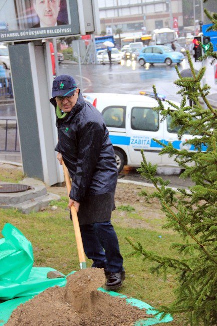 Şehitler Tepesi’ne Şehitler Anısına Fidan Dikildi