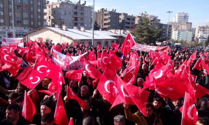 Mardin’de ‘Huzur Ve Kardeşlik Mitingi’ Başladı