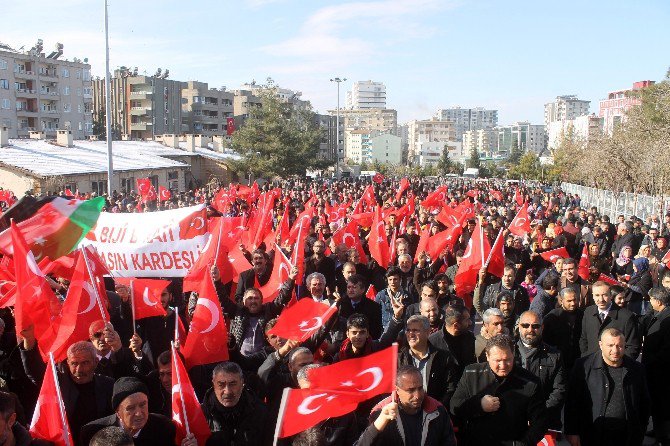 Mardin Teröre Karşı Tek Yürek Oldu