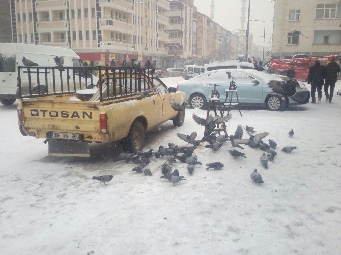 Soğuk Hava Ve Kar Nedeniyle Kuşlar Yiyecek Bulamıyor