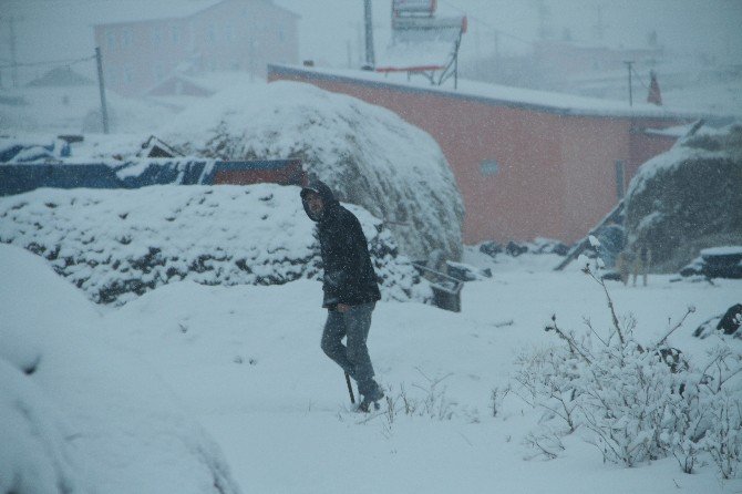 Ardahan’da Sibirya Soğukları Esnafı Vurdu