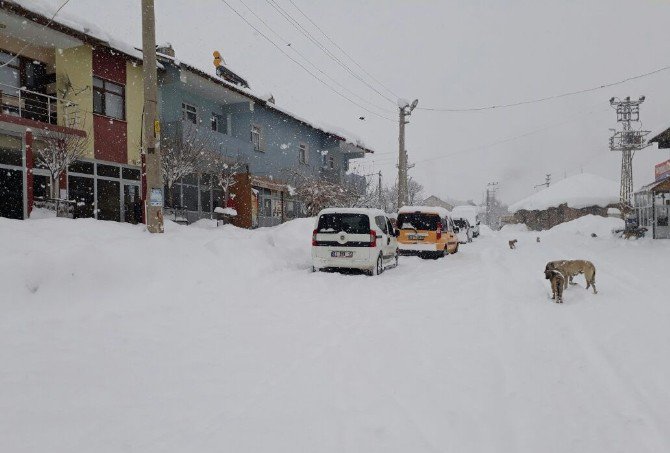 Bingöl’de Kar Yağışı Hayatı Felç Etti