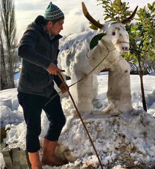 Kardan İnek Yapıp Otla Beslediler