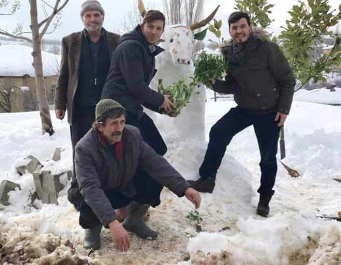 Kardan İnek Yapıp Otla Beslediler