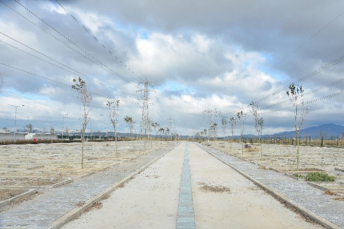 İzmir’in İlk Hayvan Mezarlığı Tamamlandı