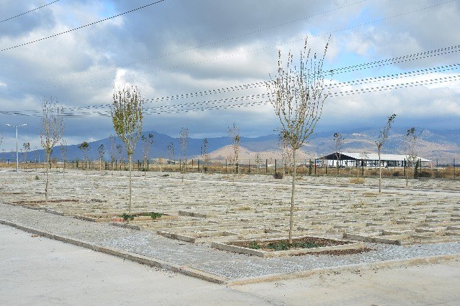 İzmir’in İlk Hayvan Mezarlığı Tamamlandı