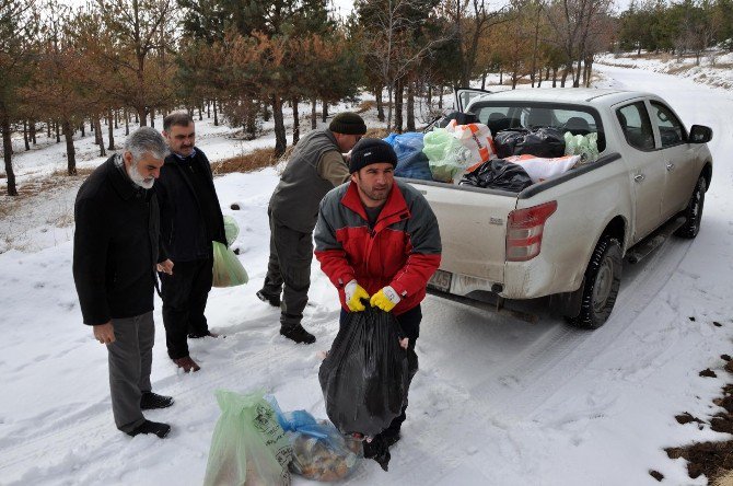 Sorgun’da Yaban Hayvanları İçin Doğaya Yiyecek Bırakıldı