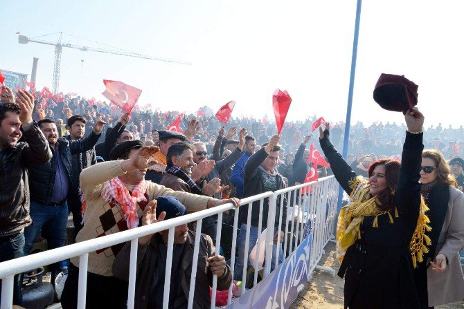 Dünya Deve Güreşi Şampiyonluğu Maçı Beraberlikle Sonuçlandı