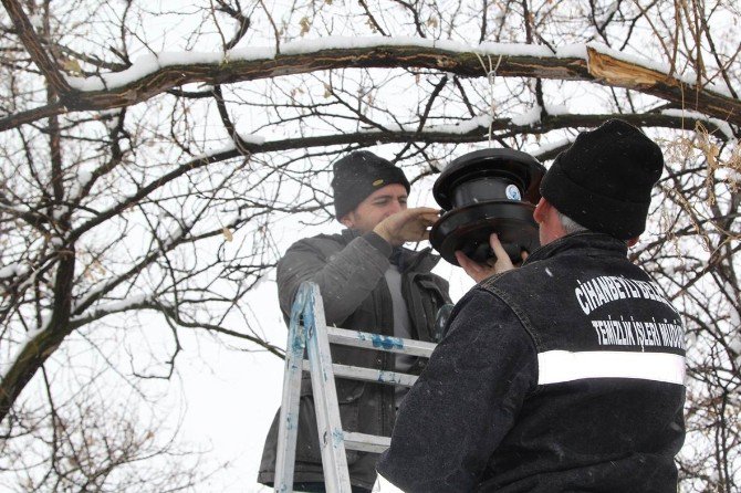 Cihanbeyli’nin Dört Bir Tarafına Kuş Evleri Yerleştirildi