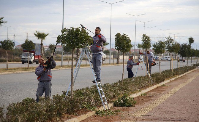 Döşemealtı’na Kış Makyajı