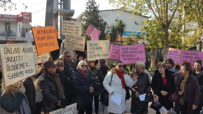 Kuşadası’nda Hayvanseverlerden Eylem