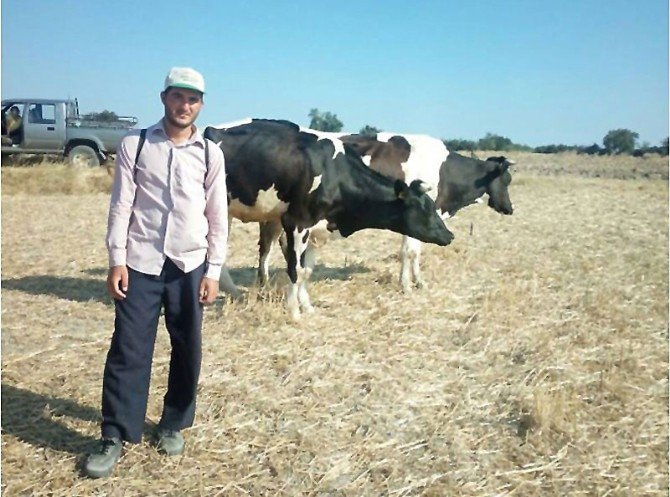 Çanakkale’de 154 Aileye 2 Milyon Tl Süt Sığırcılığı Kredisi