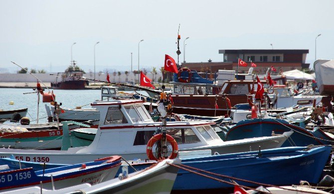 Samsun’da Yılda 14 Bin Tondan Fazla Sofralık Balık Yetiştiriliyor