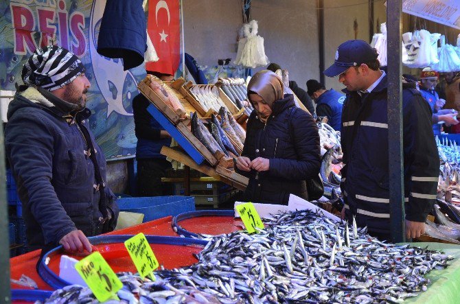 Bozüyük Balık Pazarına Sıkı Denetim