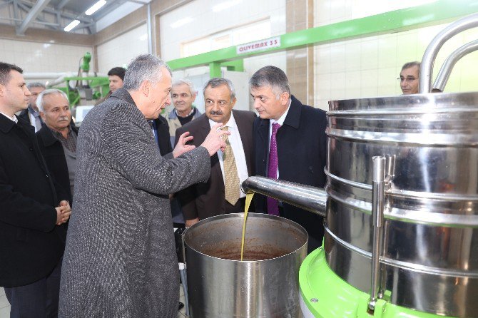 Vali Yazıcı Zeytinyağı Fabrikasını Ziyaret Etti