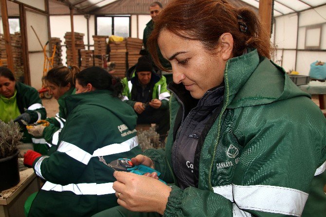 Çankaya’da Yeşil Alan Çalışmaları