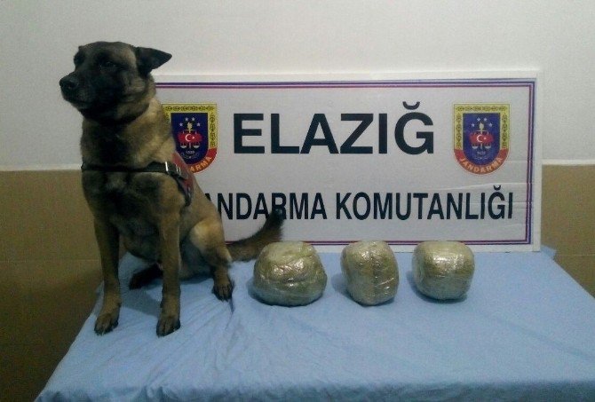 Elazığ’da Trende 6 Kilo Esrar Ele Geçirildi