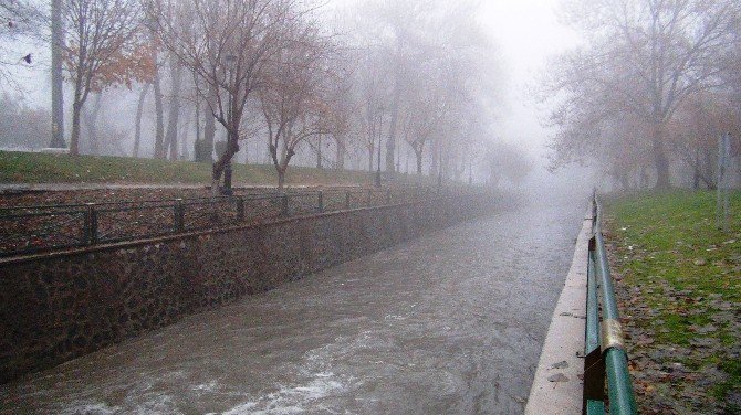 Gaziantep’te Yoğun Sis Ve Yağış