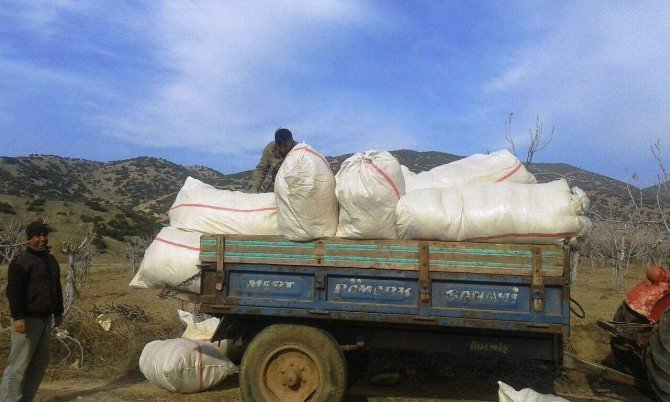 Bahar Dönemi Patates Ekimi Ödemiş’te Erken Başladı