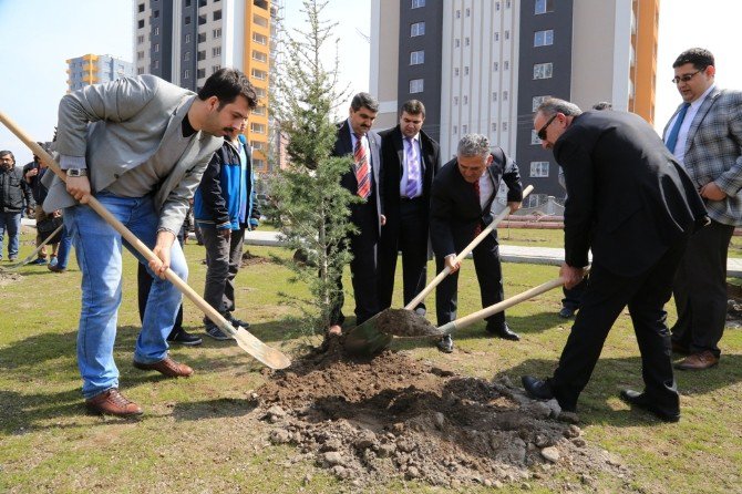 2016’da Daha Yeşil Bir Melikgazi