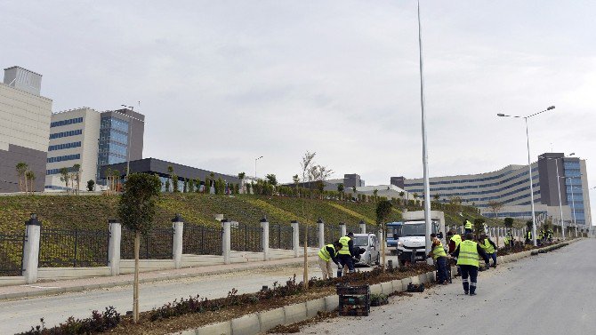 Büyükşehir Belediyesi, Şehir Hastanesi’nin Çevre Düzenlemesi Çalışmalarına Devam Ediyor