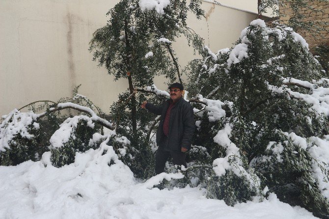 Mersin’de Kar Hayatı Felç Ediyor