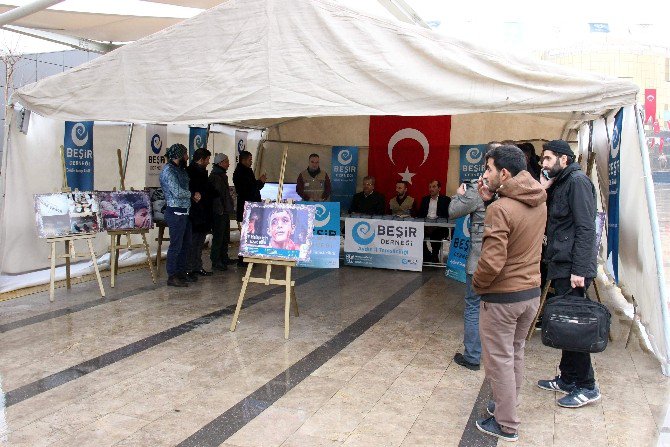 Aydın’da “Halep İçin Uzat Elini” Yardım Kampanyası Başlatıldı