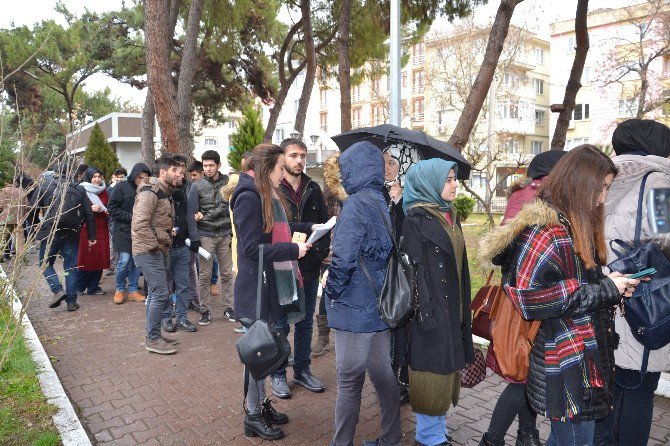 Yağmur Altında Hamsi Şenliği