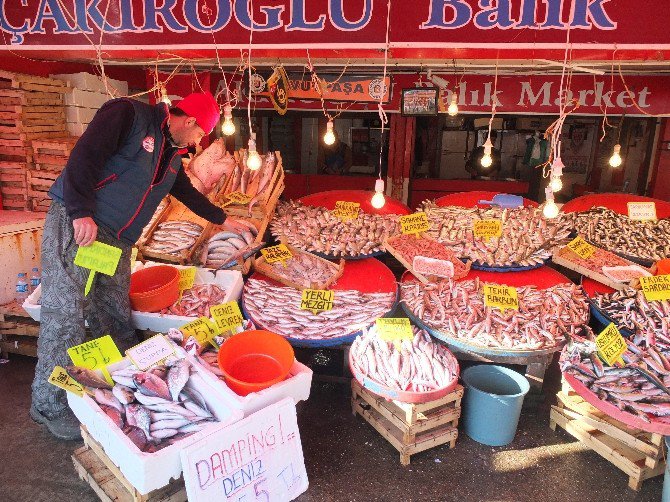 Marmara’da Fırtına Sonrası Balık Bereketi...