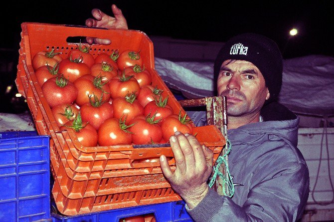 Kara Kış Antalya’da Çiftçinin Yüzünü Güldürdü