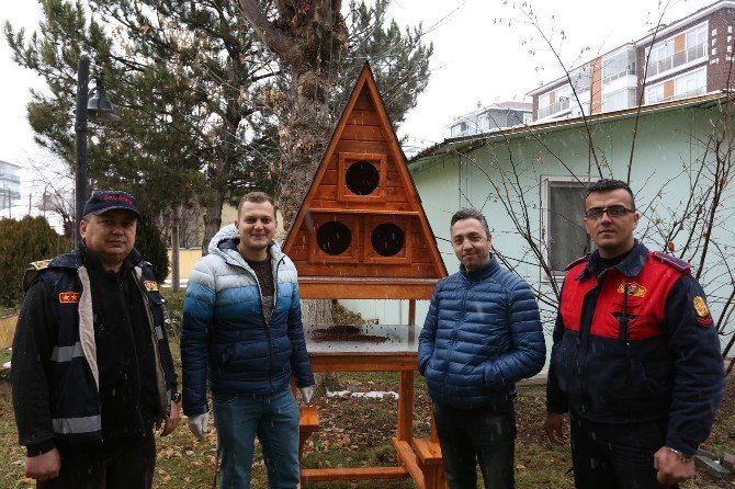 Bolu‘da Sokak Kedileri İçin ‘Kedi Köşkleri’ Yapıldı