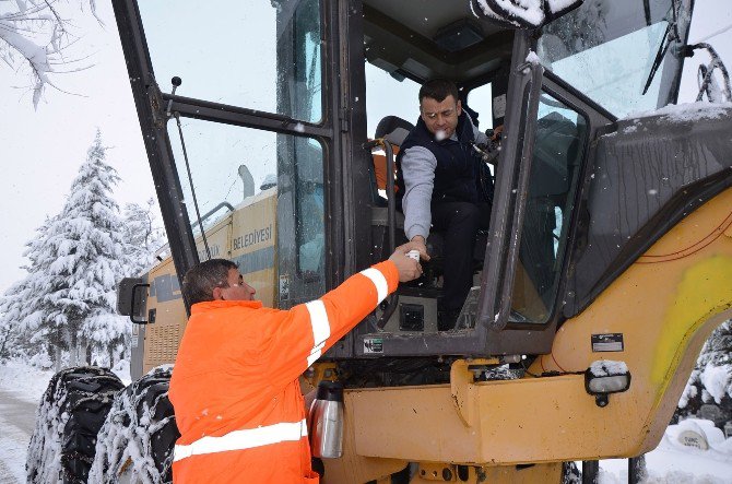 Başkan Yardımcısı Avcıoğlu Karla Mücadelede