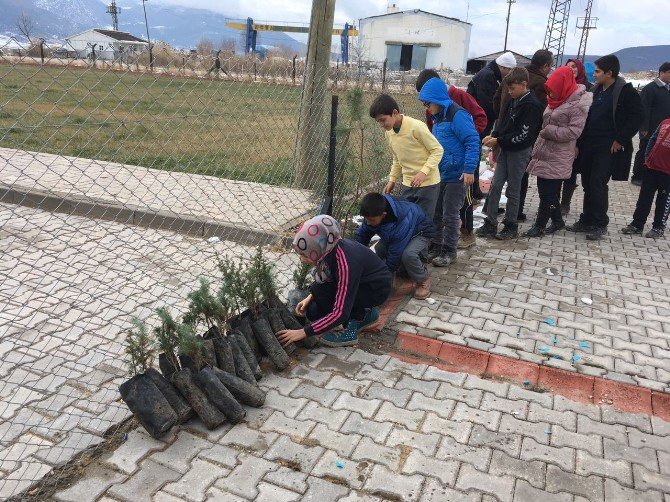 Gölpazarı’da Öğrenciler Şehitler İçin Fidan Dikti