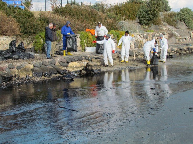 Çeşme’de Yakıt Kirliliğini Temizleme Çalışmaları 12. Gününde