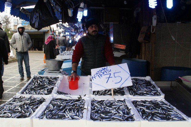 Balıkçılar Palamut Sezonunu Kapatıyor