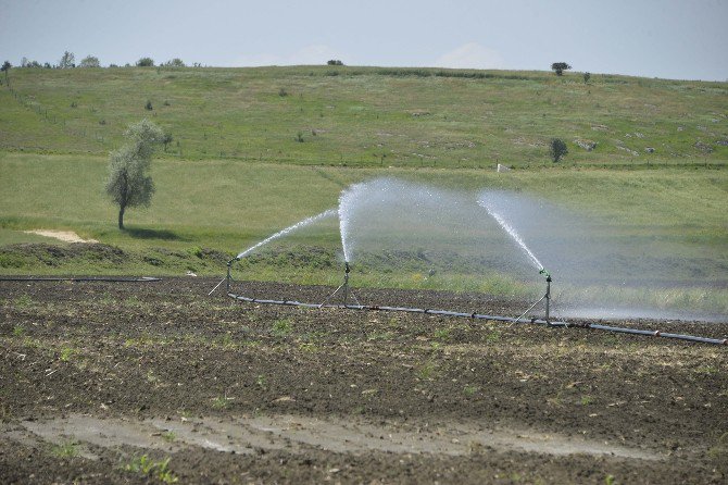 Devrekani Ovası’nda 51 Bin 280 Dekar Zirai Arazi Suyla Buluştu