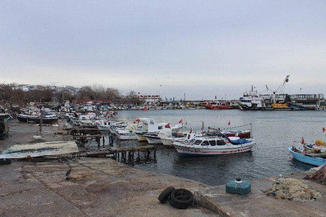 Marmara’da Deniz Ulaşımına Poyraz Engeli