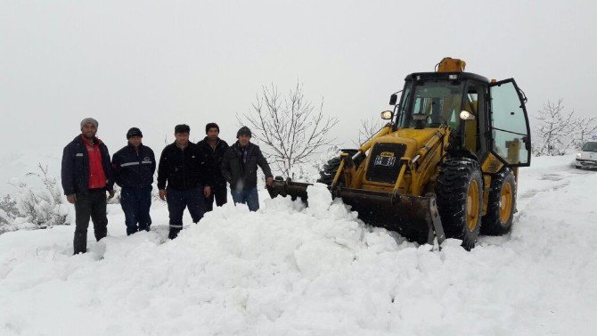 Salihli Belediyesi’nden Karla Etkin Mücadele