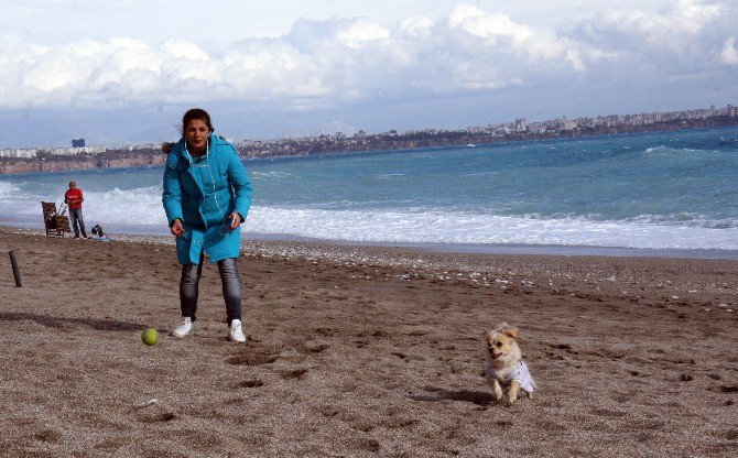 Türkiye Genelinde Kar Kış, Antalya’da Yazdan Kalma Günler