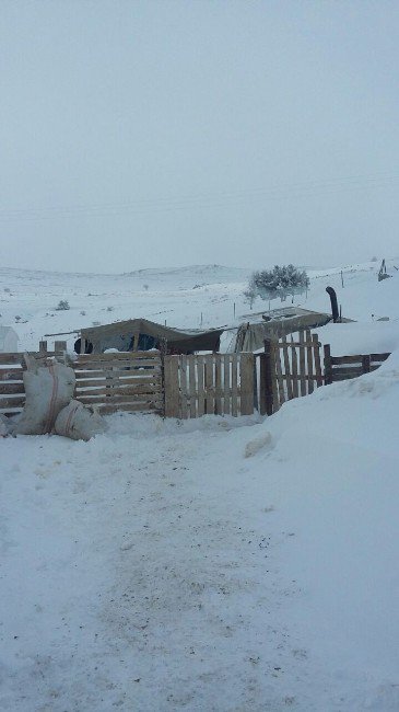 Antalya Korkuteli’nde Karda Mahsur Kalan 3 Çoban Ve Koyunları Kurtarıldı