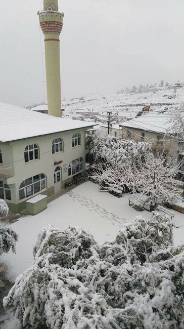 Aydın’da Muhteşem Kar Manzaraları