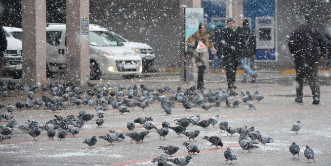 Balıkesir’de Kar Etkisini Arttırdı