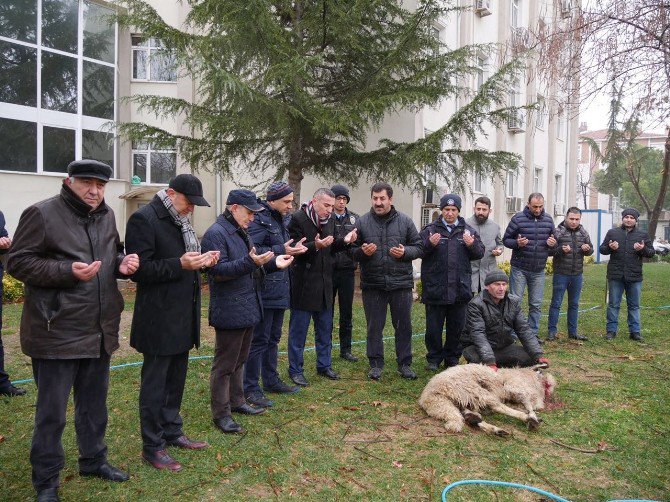 Büyükçekmece’de Polisler İçin Kurban Kesildi