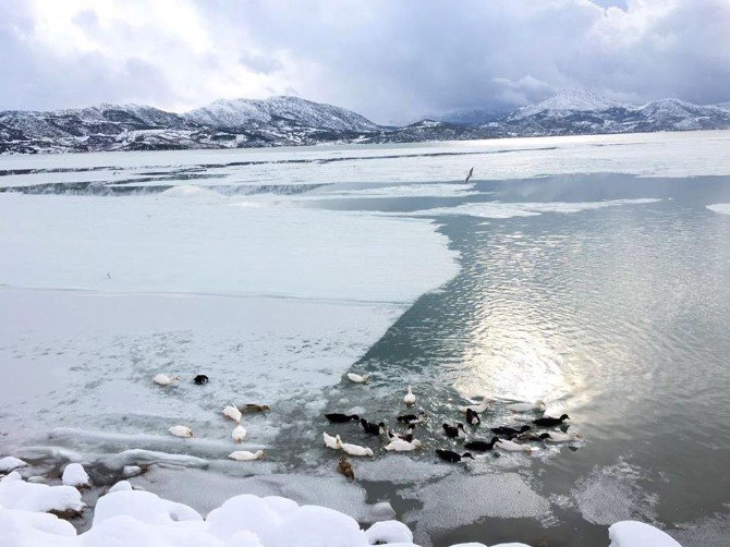 Eğirdir Gölü Buz Tuttu