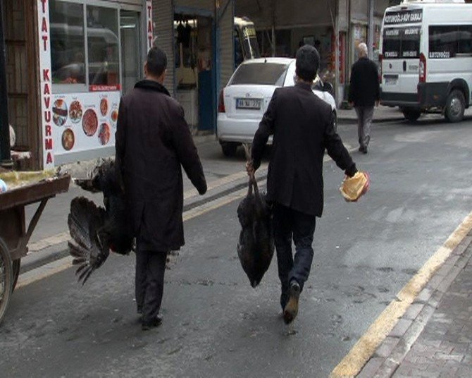 Hindi Satışında Salyangoz Benzetmesi