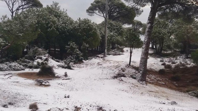 Milas’ın Yüksel Kesimlerinde Kar Yağışı Etkili Oldu