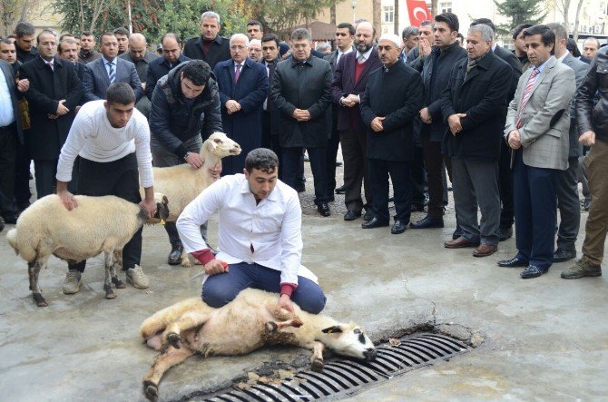 Şanlıurfa’da Şehit Polisler İçin Kurban Kesildi