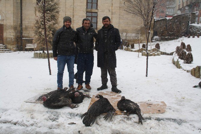 Yozgat’ta Yılbaşı Hindi Satışları Yüzleri Güldürdü