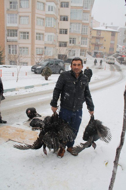 Yozgat’ta Yılbaşı Hindi Satışları Yüzleri Güldürdü