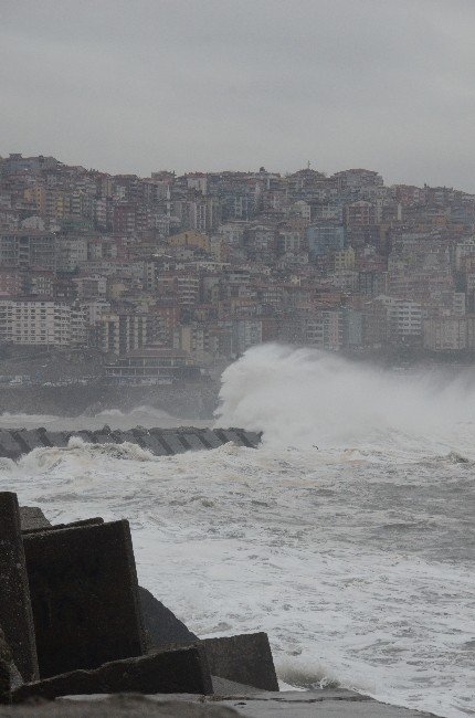 Karadeniz Coştu, Liman Çöple Doldu